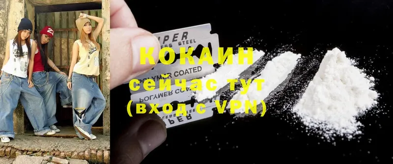 купить наркоту  Дубовка  Cocaine Fish Scale 